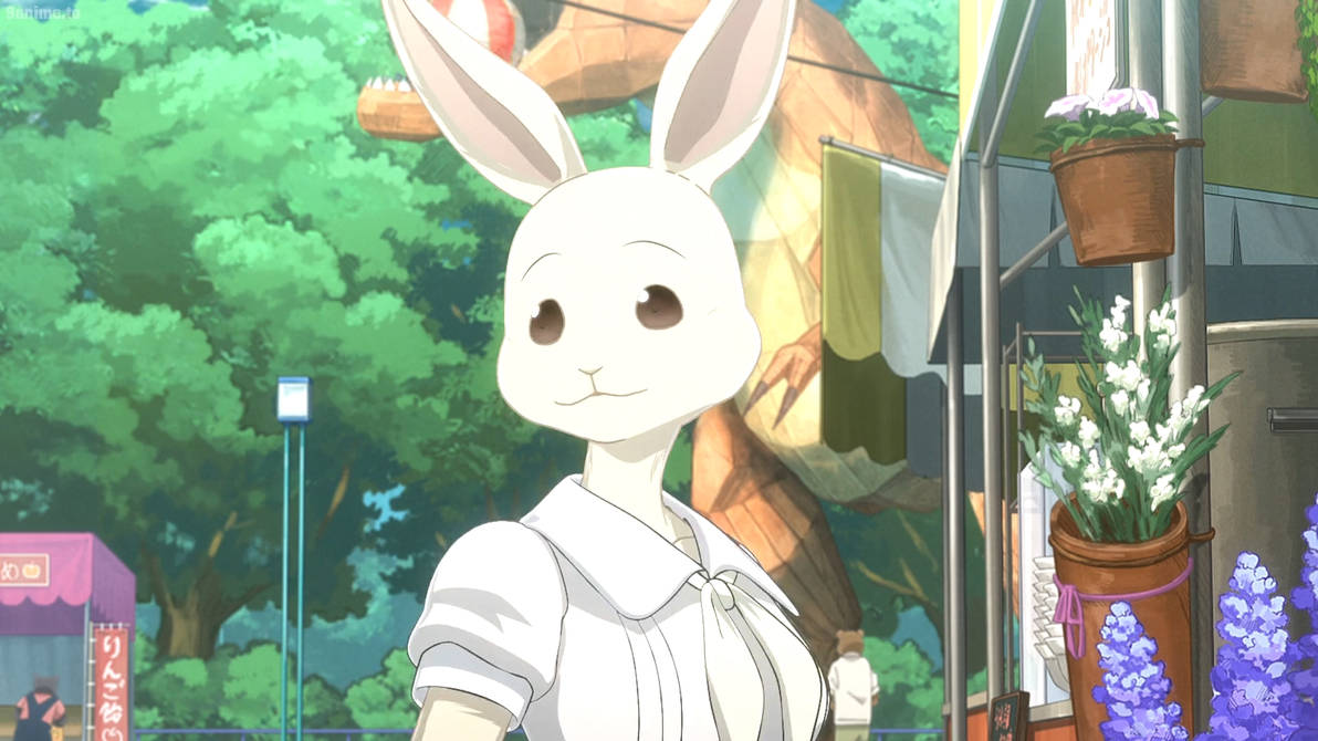 Beastars Rabbit Scene Beastars S1 E9-Haru by GiuseppeDiRosso on DeviantArt