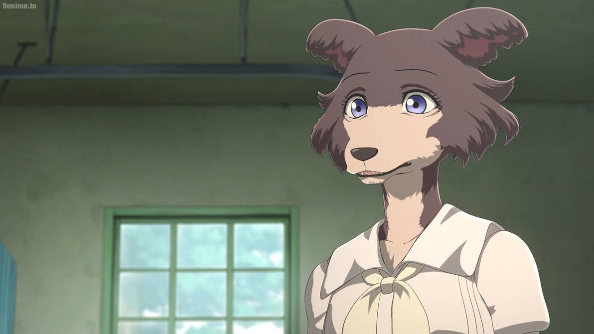Beastars S1 E12-Juno 3 by GiuseppeDiRosso on DeviantArt
