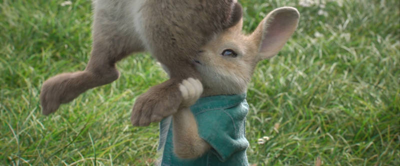 Peter Rabbit Animation Cottontail Explore the Best Peterrabbit Art | DeviantArt