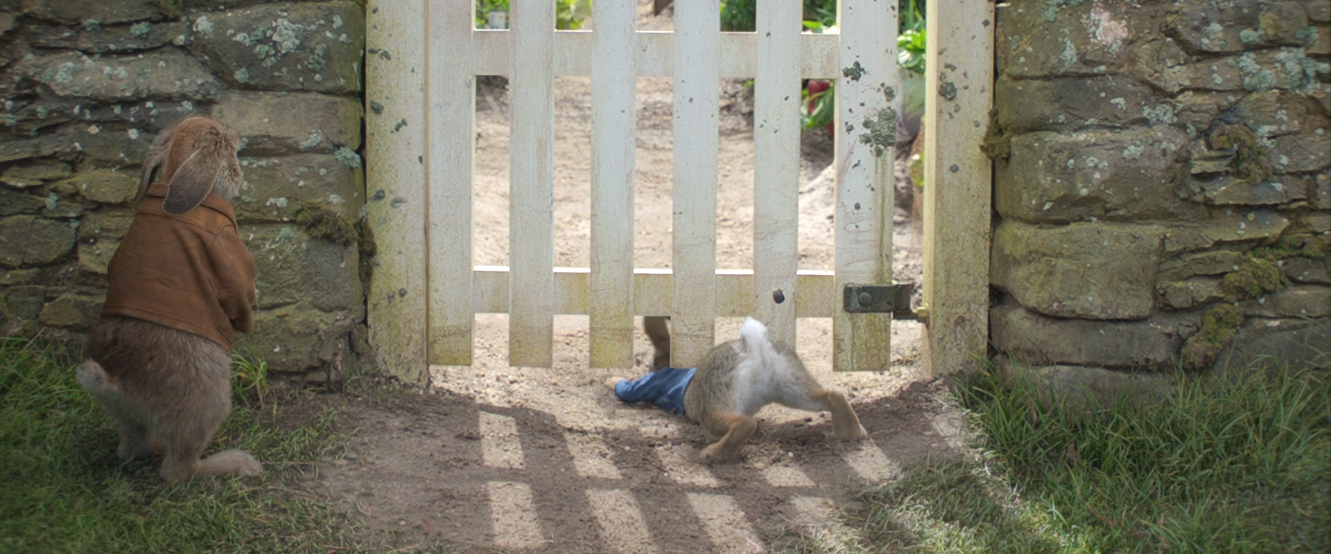 PeterRabbit2018-Peter Rabbit 11 by GiuseppeDiRosso on DeviantArt