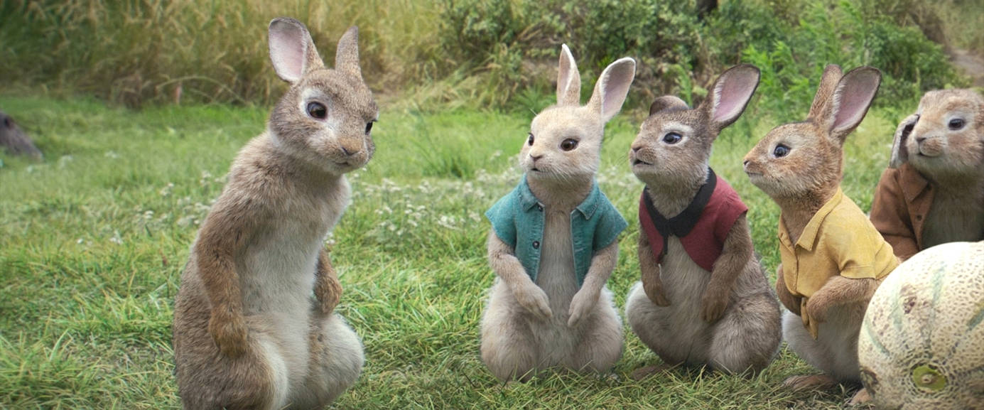 PeterRabbit2018-Peter Rabbit 12 by GiuseppeDiRosso on DeviantArt