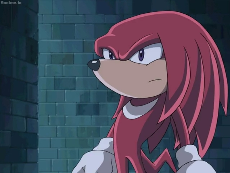 Knuckles Jump Sonic X E17-Knuckles 13 by GiuseppeDiRosso on DeviantArt