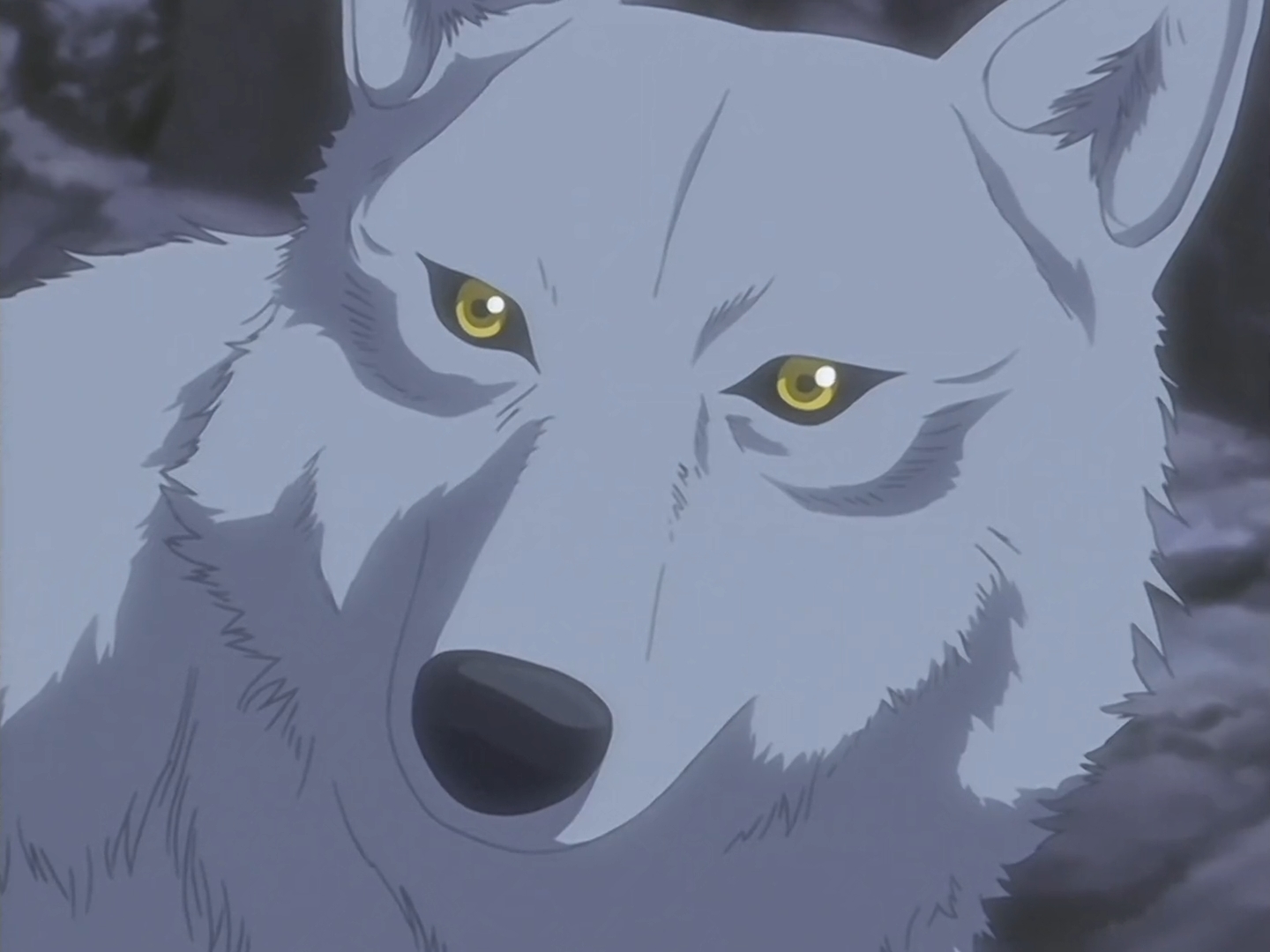 Wolf's Rain E19-Kiba 3 by GiuseppeDiRosso on DeviantArt