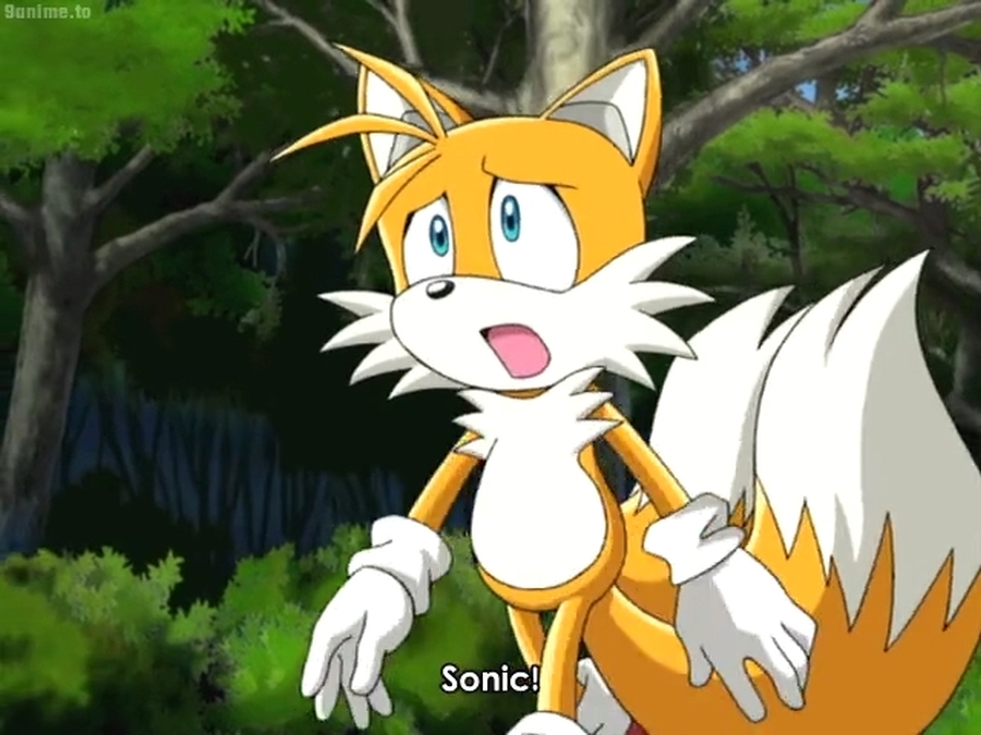 Sonic X E28 Tails 5 By GiuseppeDiRosso On DeviantArt sonic-x-e28-tails-5-by-giuseppedirosso-on-deviantart