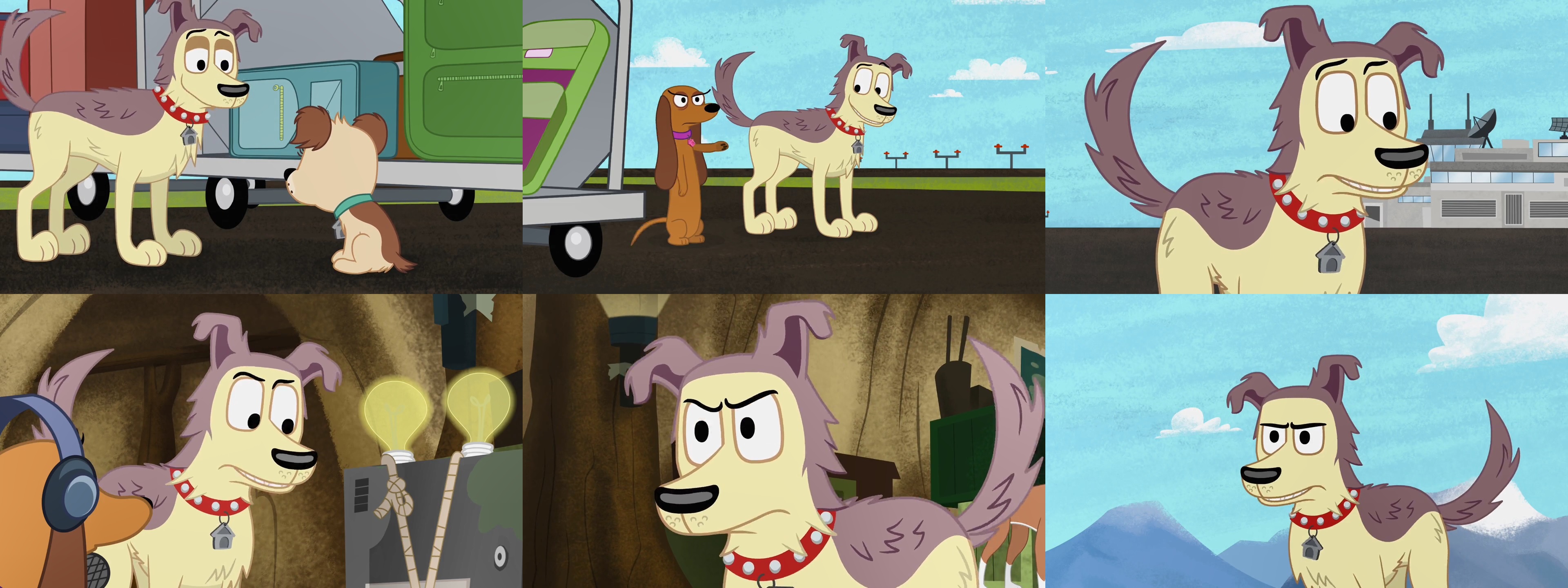 Pound Puppies 2010 S1 E11 Lucky Montage By GiuseppeDiRosso On DeviantArt pound-puppies-2010-s1-e11-lucky-montage-by-giuseppedirosso-on-deviantart