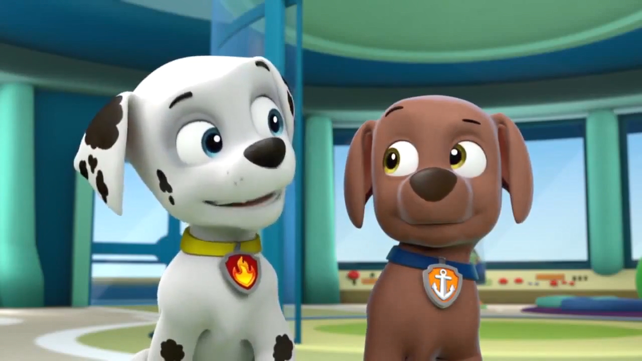 Zuma Deviantart PAW Patrol S1 E12-Marshall Zuma by GiuseppeDiRosso on DeviantArt