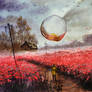 Anomaly in the poppy field