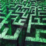In the labyrinth