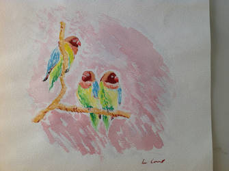 Watercolour birds