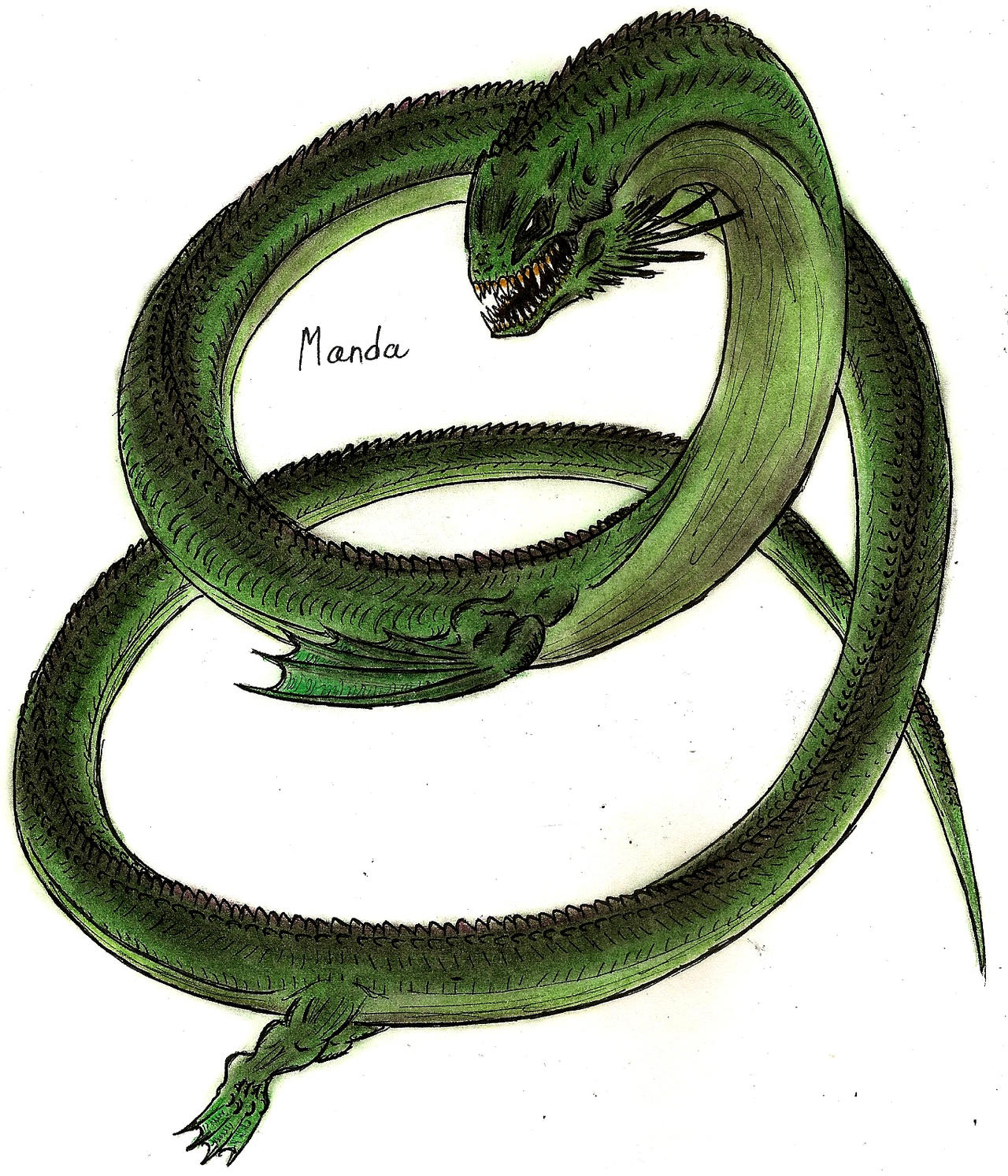 Manda by MonsterKingOfKarmen on DeviantArt