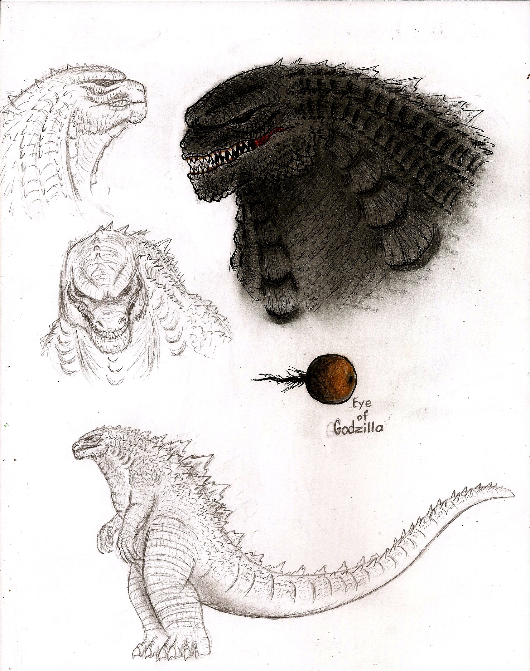 Sketch Work of King of the Monsters