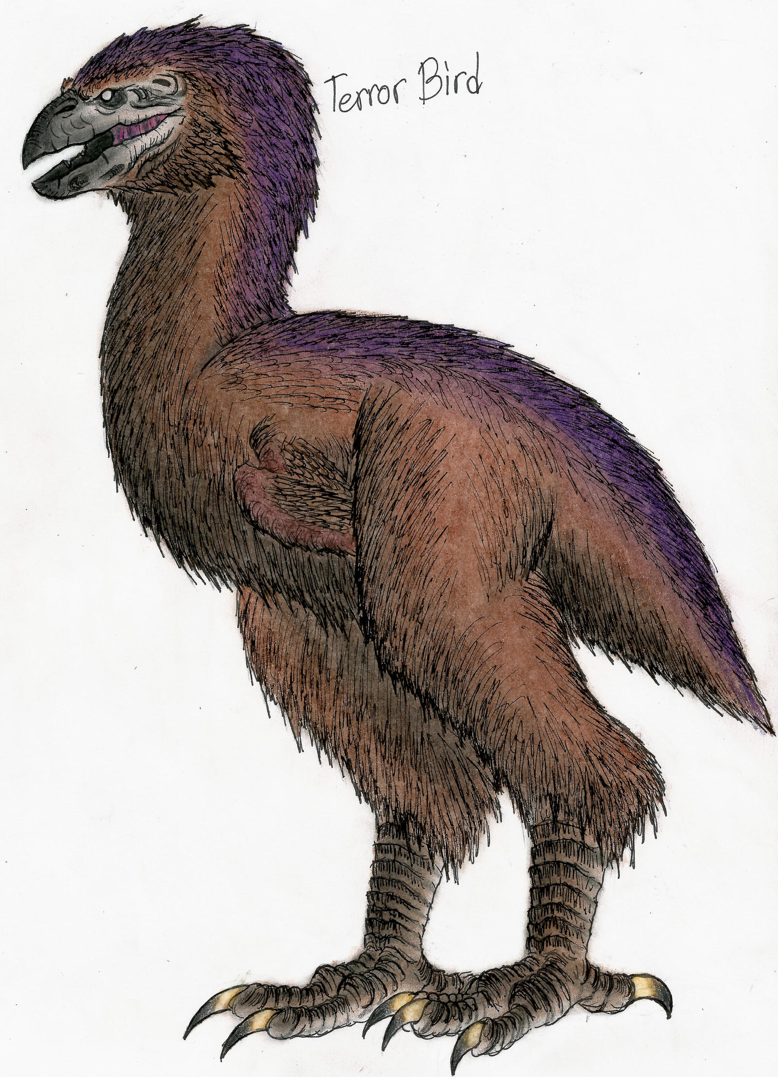 Trror Bird Terror Bird by MonsterKingOfKarmen on DeviantArt