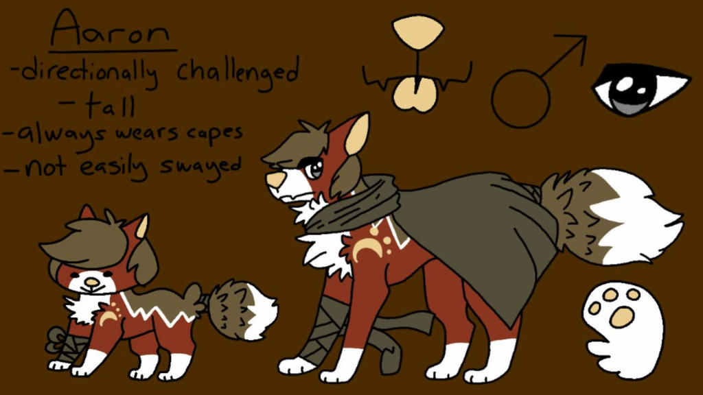 Aaron reference sheet