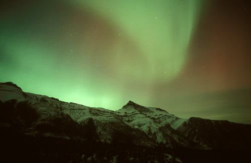 Jasper park Aurora