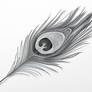 Study in Graphite: The Peacock Feather