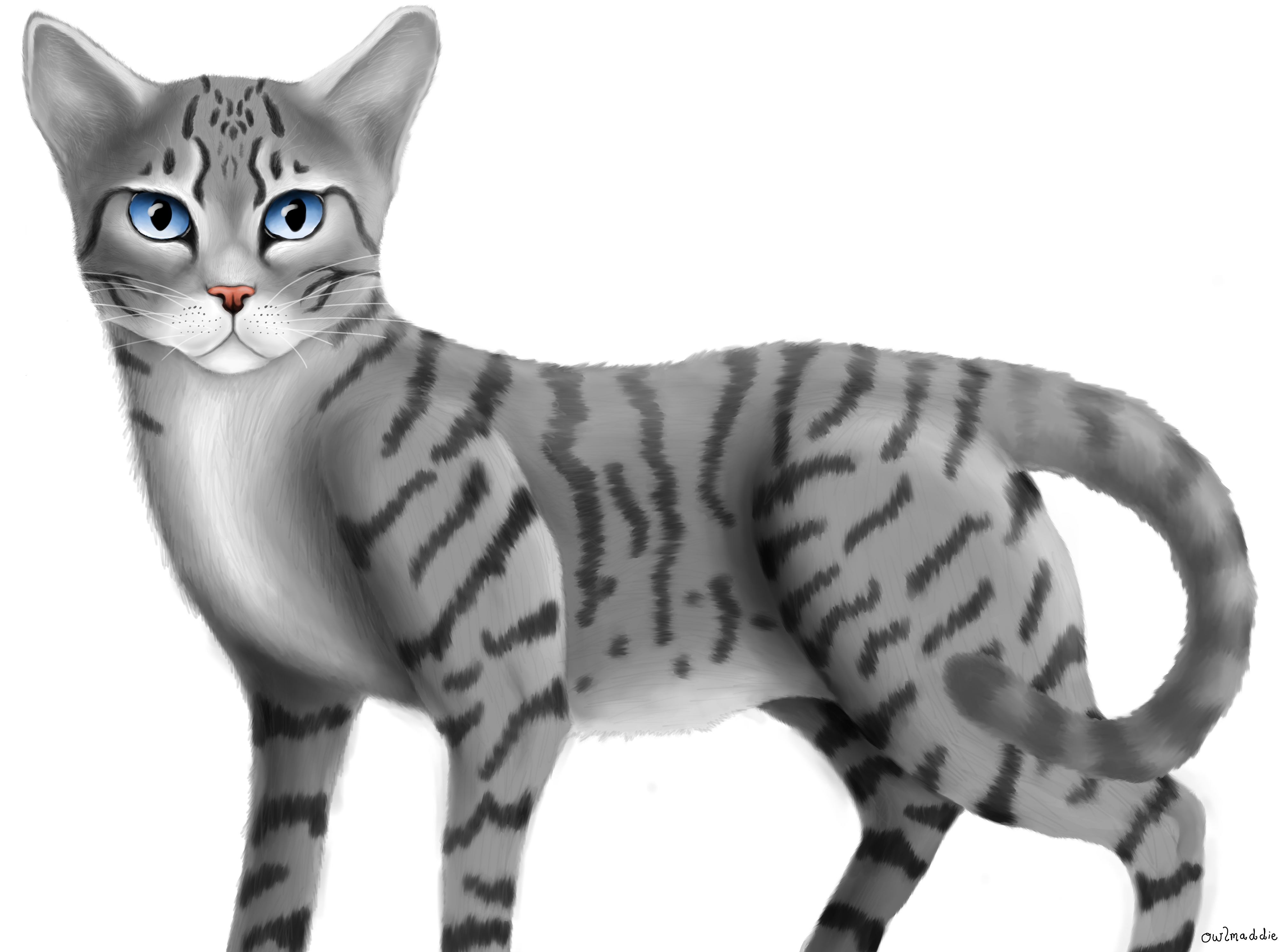 Jayfeather