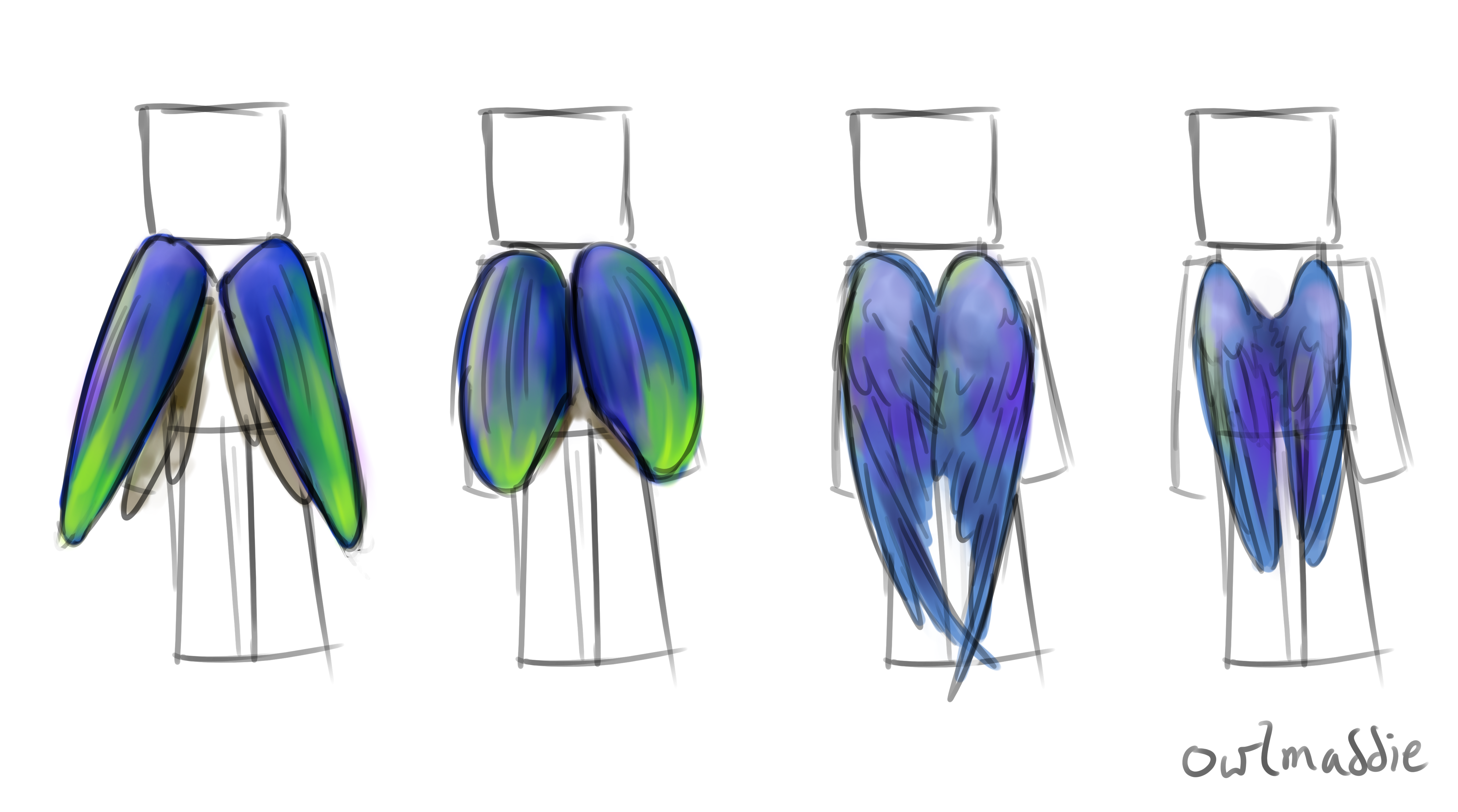 Elytra Wings