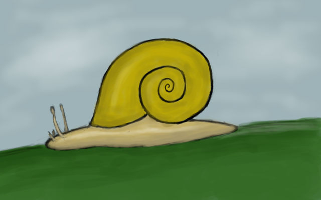 a snail for nori