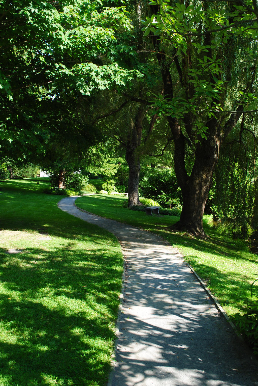 MT. Auburn Pathway 1