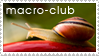 macro-club stamp