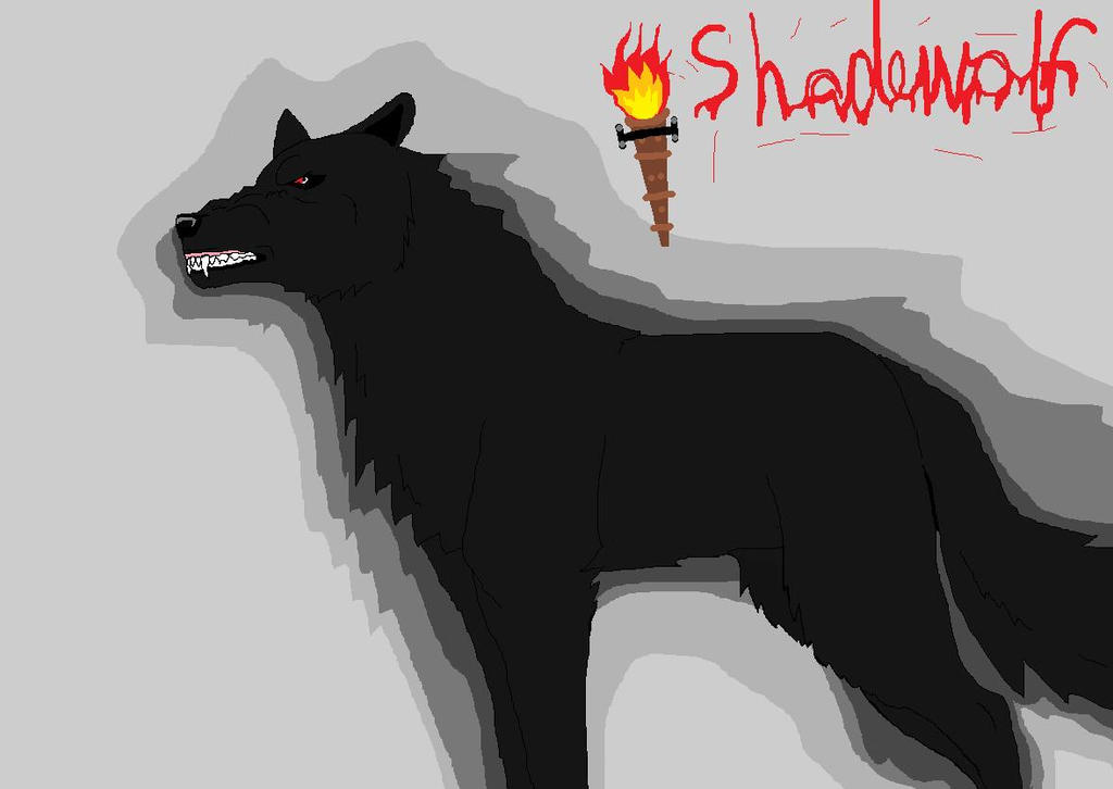 Shadowolf Shadowolf n the dark by Shadowolfhound on DeviantArt