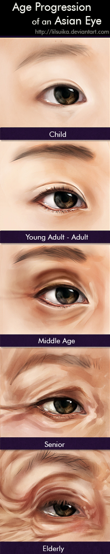 Age Progression of an Asian Eye