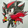 Shadow with his scarf