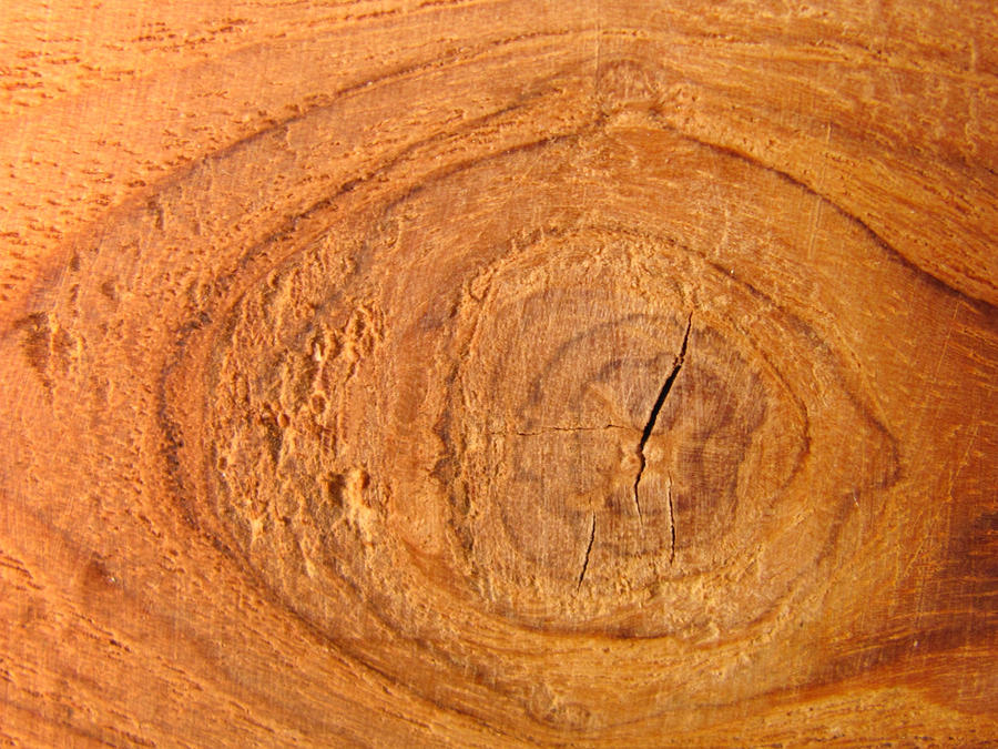 wood texture 1