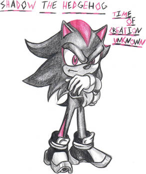 SHADOW is THE hedgehog