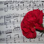 Music of Carnations