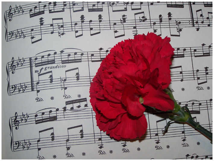 Music of Carnations