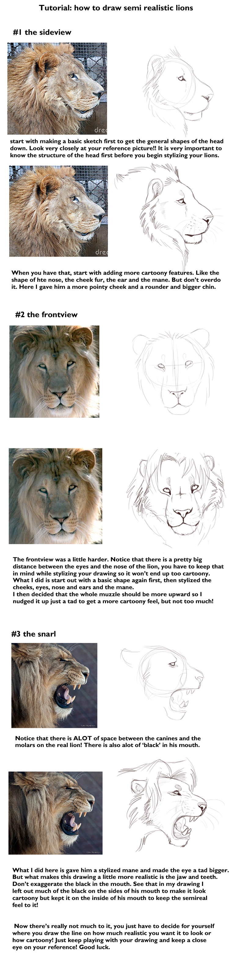 Semi realistic lion head tut