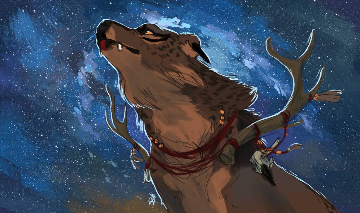 Tokota Of The Month By Tokotime On Deviantart Design Central Tokotas November 2022