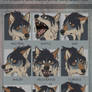 HVALLA || Expression sheet Halgaer