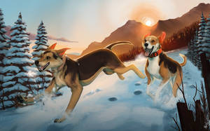 Morning run - Commission