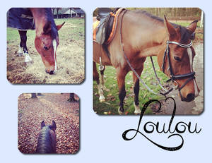 Loulou