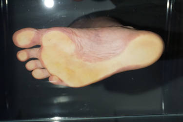 Glass Floor Foot