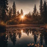 Sunrise on the Pond