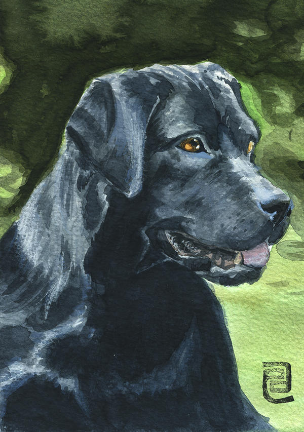 Black Lab Deviantart Black Labrador by emile-espinosa on DeviantArt