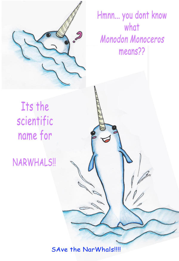 NArwHals