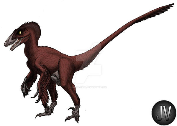 Saurornitholestes
