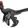 Anchiornis
