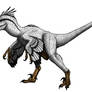 Velociraptor