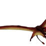 Darwinopterus