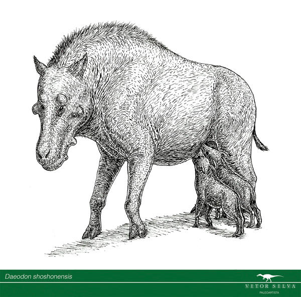 Daeodon