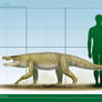 Stratiotosuchus