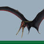 Targaryendraco