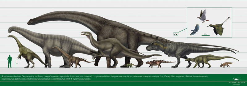 Featherweight to multi-ton: The mass of dinosaurs