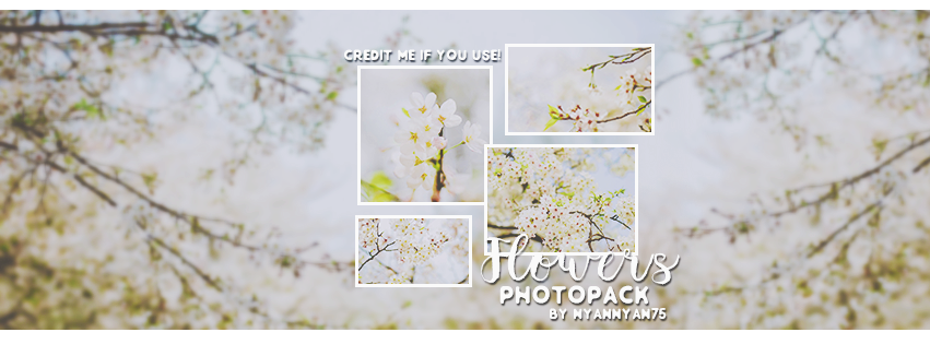 FLOWERS PHOTOPACK BY NYANNYAN95