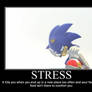 Sonic Demotivational: Stress